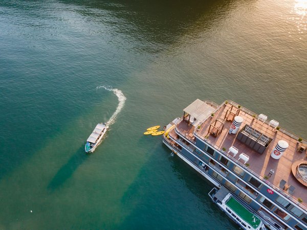 Comment organiser sa propre visite guidée ?