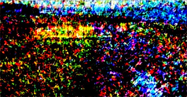 Découvrez les meilleures adresses de location de vélo à l'île d'yeu